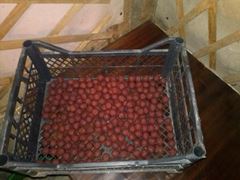 Cuibusorul meu de nebunii :-)